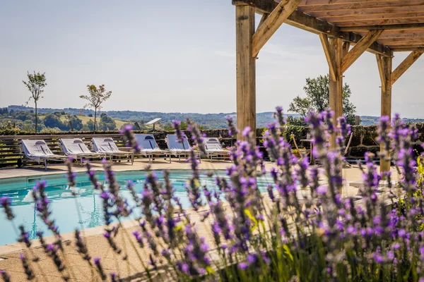 pool view through flowers