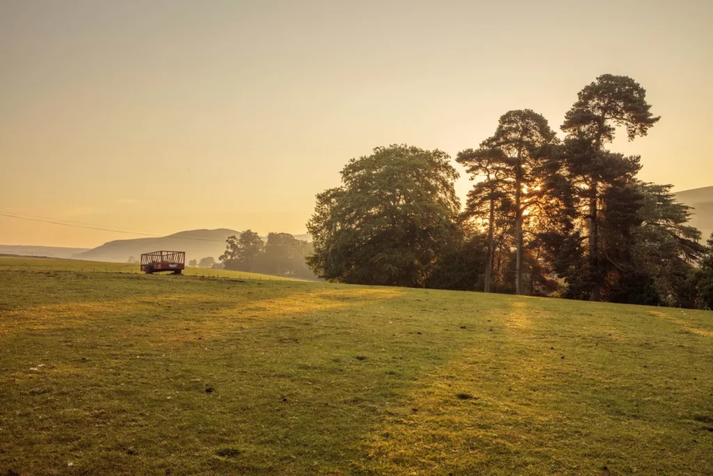 garden with sun setting