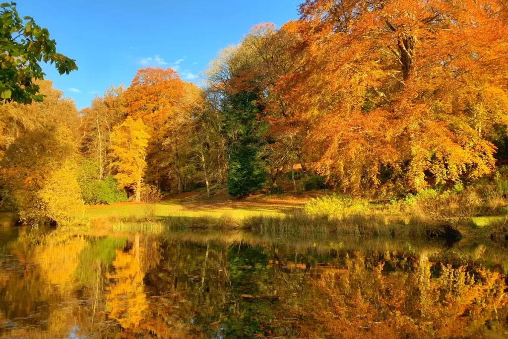 dungarthill house autumn pond