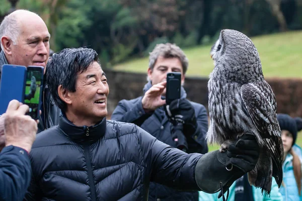glenapp castle outdoor owl