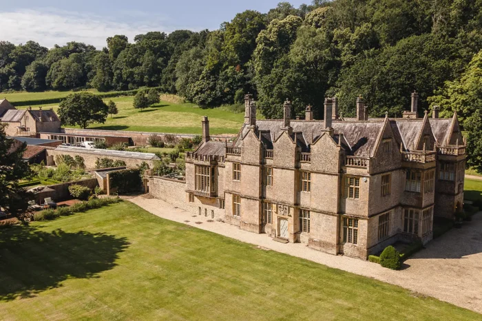 newton surmaville front view