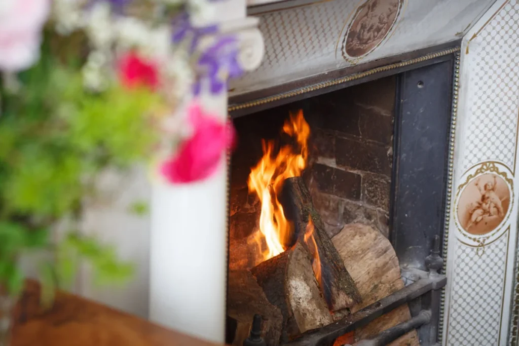 temple house morning room fire